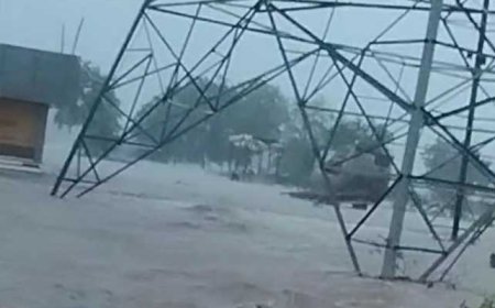 फुलफॉर्म में आया मॉनसून, मध्य प्रदेश के कई जिलों में मूसलाधार बारिश, मुरैना-टीकमगढ़ में बाढ़ जैसे हालात, आज भी रेड अलर्ट.