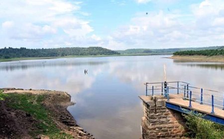 जल गंगा संर्वधन अभियान: जबलपुर में जल स्‍त्रोंतों के उद्गम स्‍थल को बेहतर बनाने की मुहिम