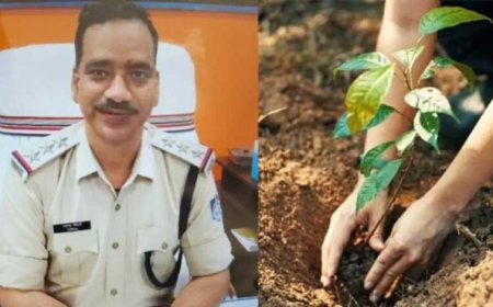 न्यायमूर्ति की युगलपीठ ने टीआई रविंद्र द्विवेदी को अनूठी सजा सुनाई , एक साल में 1000 फलदार पौधे रोपने का निर्देश दिया