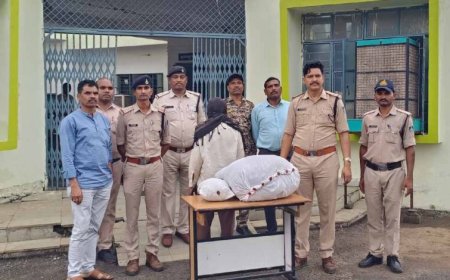 थाना मोहगांव पुलिस की बड़ी कार्रवाई- भारी मात्रा में गांजा जब्त, एक तस्कर गिरफ्तार