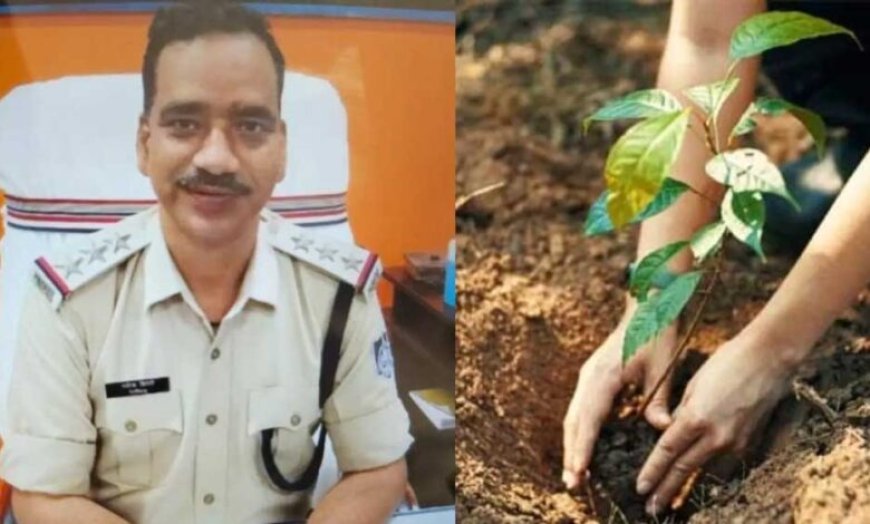 न्यायमूर्ति की युगलपीठ ने टीआई रविंद्र द्विवेदी को अनूठी सजा सुनाई , एक साल में 1000 फलदार पौधे रोपने का निर्देश दिया