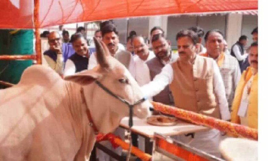 एक भी गौमाता बेसहारा न रहे : उप मुख्यमंत्री शुक्ल