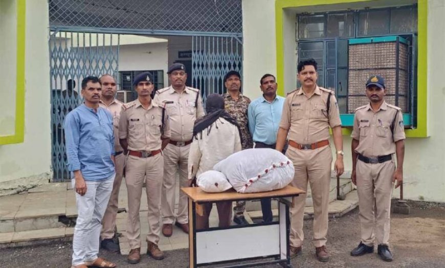 थाना मोहगांव पुलिस की बड़ी कार्रवाई- भारी मात्रा में गांजा जब्त, एक तस्कर गिरफ्तार