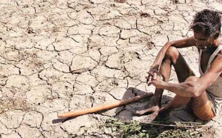 अध्ययन में पता चला की प्रदेश के 10 जिलों में गंभीर सूखे का खतरा, गर्म दिनों की संख्या बढ़ने के चलते बनी स्थिति
