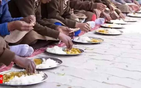 स्कूल में मिड डे मील बना ज़हर! छिपकली मिलने से बीमार हुए तीन बच्चे, अस्पताल में भर्ती