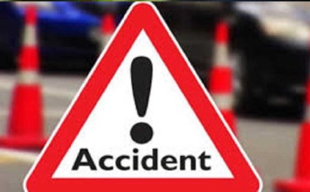 शहडोल में टेम्पो ट्रैक्स पेड़ से टकराया, 3 महिलाओं की मौत, बच्चों समेत 15 घायल