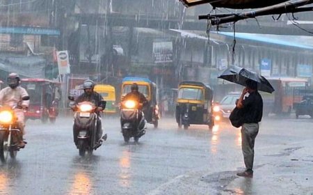प्रदेश में सक्रिय हुआ मानसून, 36 जिलों में भारी बारिश का अलर्ट – नदियां उफान पर