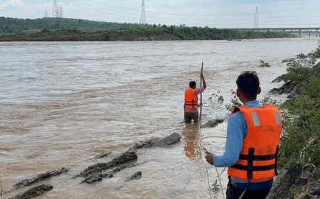 एसडीईआरएफ तथा होमगार्ड की टीम ने सोन नदी में फसे गोवंश को सुरक्षित नदी पार कराया