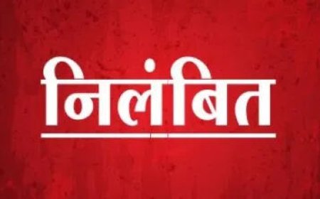 नगर परिषद इंदरगढ़ के प्रभारी सीएमओ निलंबित