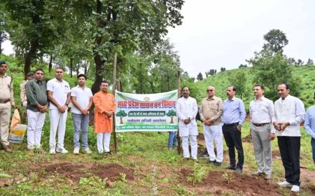 वन परिक्षेत्र बैढ़न में सांसद विधायक ने एक पेड़ मॉ के नाम अभियान के तहत किया पौधा रोपण