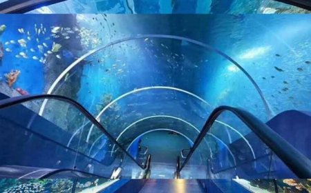 भोपाल में बन रहा 40 करोड़ का एक्वा पार्क, 3D इंटरेक्टिव जोन और वॉटर टनल से होगा रोमांच