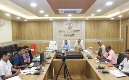 कलेक्टर ने हितग्राही मूलक योजनाओं की बैंकर्स के साथ की समीक्षा बैठक