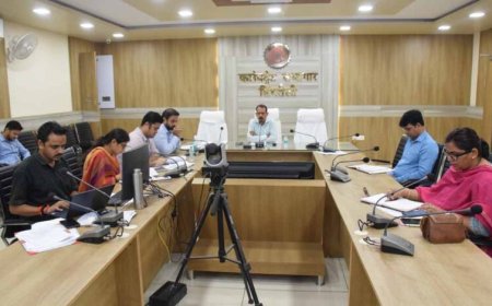 कलेक्टर ने व्हीसी के माध्यम से की बाढ़ आपदा प्रबंधन की समीक्षा