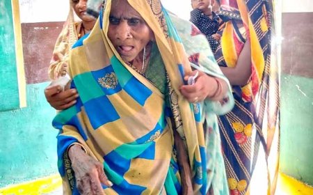 पंचायत उप निर्वाचन में हुआ 70.51 प्रतिशत मतदान, सागर और दमोह में हुआ आईपीबीएमएस से मतदान