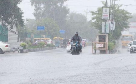 MP में बारिश का स्ट्रॉन्ग सिस्टम एक्टिव, सुबह से भोपाल में बारिश जारी, ग्वालियर में स्कूलों में अवकाश घोषित