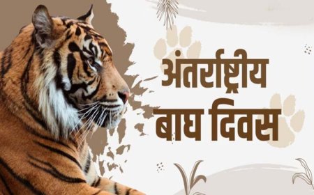 मुख्यमंत्री डॉ. यादव मंगलवार को अंतर्राष्ट्रीय बाघ दिवस पर राज्य स्तरीय कार्यक्रम में होंगे शामिल