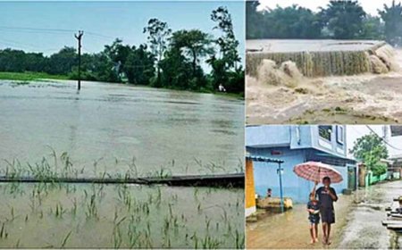 मध्य प्रदेश के कई जिलों में भारी बारिश का अलर्ट, जनजीवन अस्त-व्यस्त
