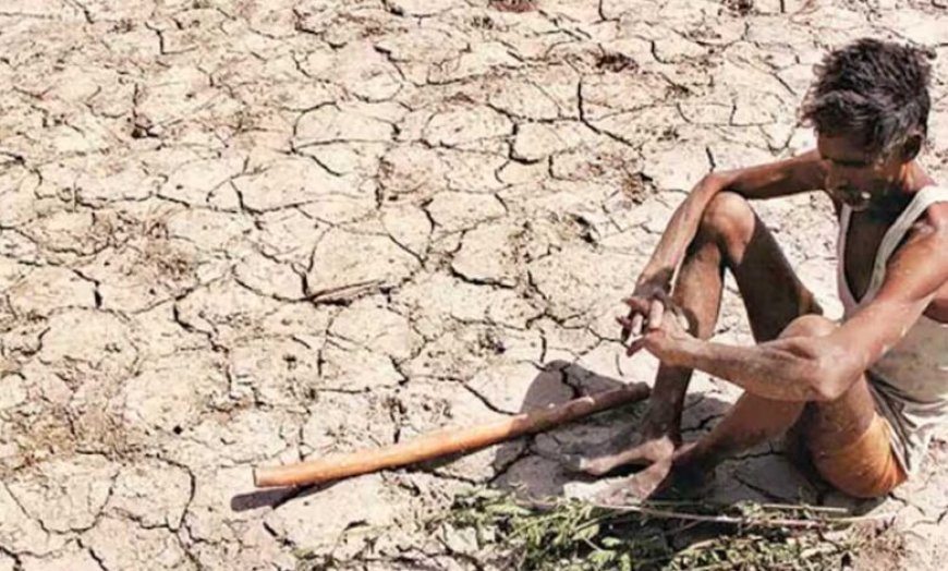 अध्ययन में पता चला की प्रदेश के 10 जिलों में गंभीर सूखे का खतरा, गर्म दिनों की संख्या बढ़ने के चलते बनी स्थिति