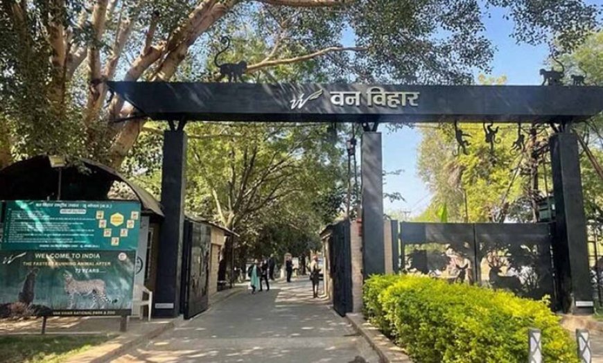 26 जुलाई तक बोट क्लब पर सुबह 5 से 9 बजे तक ट्रैफिक पूरी तरह बंद रहेगा