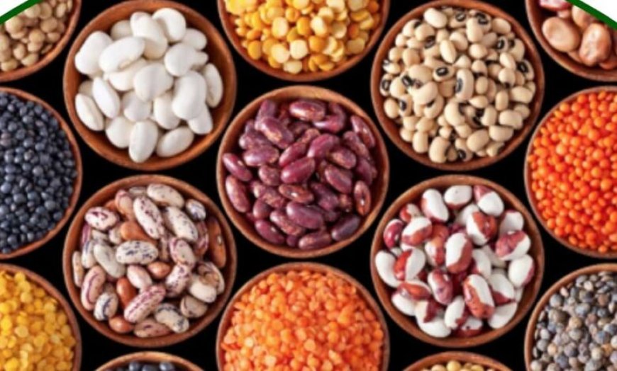 ग्वालियर : विजयाराजे सिंधिया कृषि विश्वविद्यालय बना ऑयल सीड हब, किसानों को मिलेगा खुद बीज उगाने का मौका
