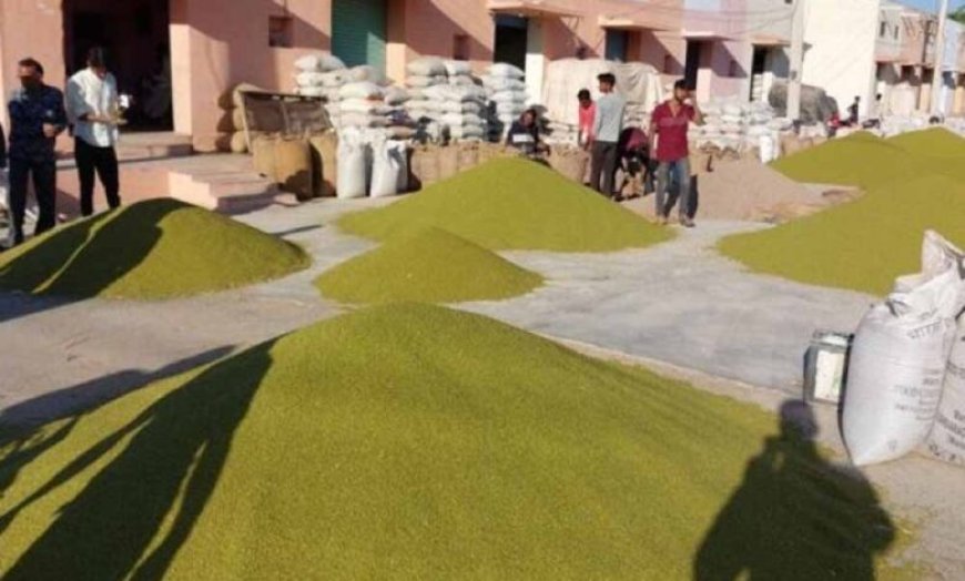 जबलपुर में 5 दिन से मूंग-उड़द खरीदी ठप, सर्वर डाउन से परेशान किसान