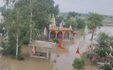 एमपी में फिलहाल भारी बारिश का अलर्ट नहीं, भोपाल-इंदौर में हल्की बूंदाबांदी जारी