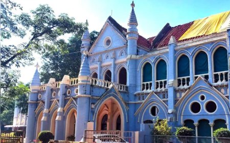 जबलपुर में कॉन्स्टेबल ने वकील को पीटा, 14 दिन बाद FIR; वीडियो देखकर भी अफसर नहीं माने, हाईकोर्ट में याचिका