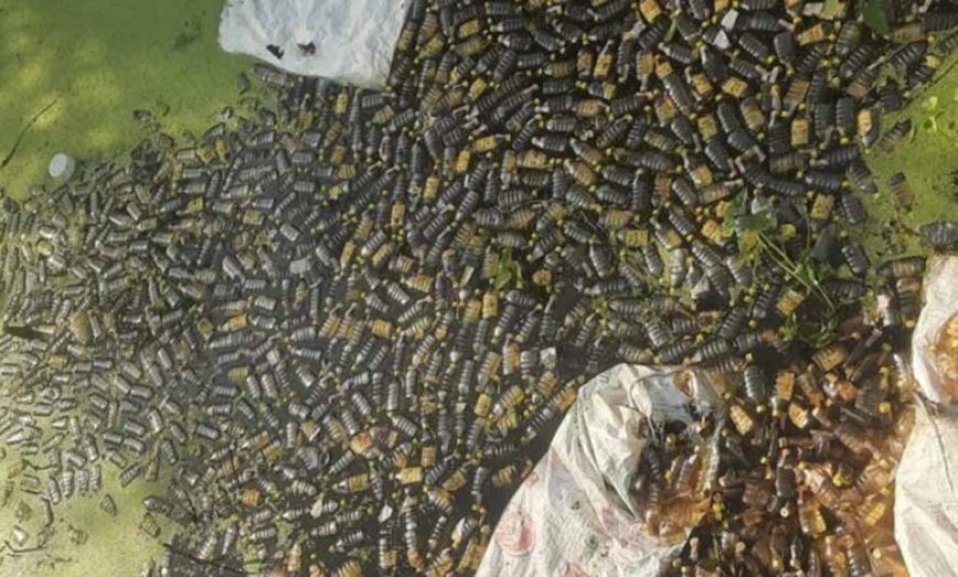 मुरैना में नाला शराब से भर गया, नजारा देखकर लोग हुए दंग