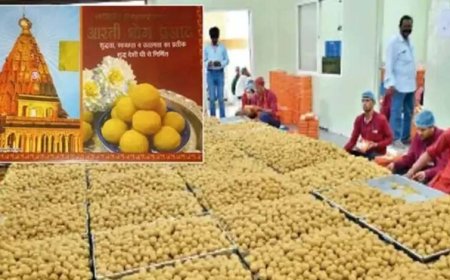 महाकाल मंदिर का प्रसिद्ध लड्डू अब हाईटेक मशीन से बनेगा, 40 करोड़ का टेंडर जारी, गड़बड़ी पर 50 लाख तक का जुर्माना