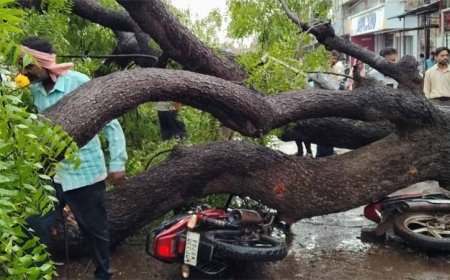 शिवपुरी में आंधी का कहर: प्ले ग्राउंड की बाउंड्री गिरी, 5 दबे, छत से गिरीं महिला व युवती