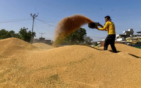 खरीदी में तेजी, सर्वर स्लो: 44 हजार किसान अब भी स्लॉट के इंतजार में, तारीख बढ़ी 23 मई तक