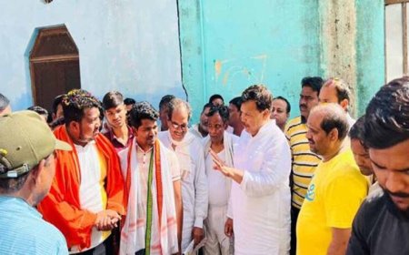 स्वच्छता, स्वास्थ्य और जनसुविधा से जुड़ी समस्याओं में कोताही बर्दाश्त नहीं करेंगे : ऊर्जा मंत्री  तोमर