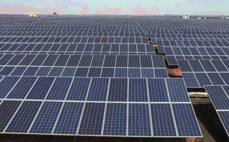 2030 से पहले थम सकता है भारत में CO2 उत्सर्जन! चौंकाने वाले संकेत, 2025 में CO2 उत्सर्जन केवल 0.7% बढ़ा