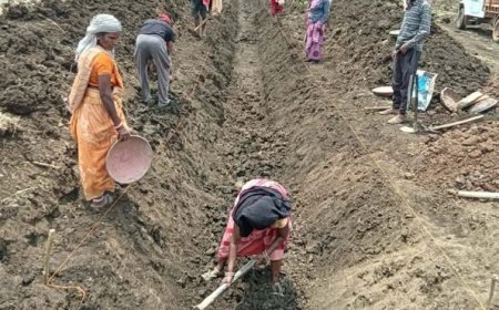 पुष्पराजगढ़में ‘जल गंगा संवर्धन अभियान’ से हो रहा है नहर सुदृढ़ीकरण