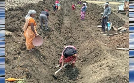 जल गंगा संवर्धन अभियान-पुष्पराजगढ़ में ‘जल गंगा संवर्धन अभियान’ से हो रहा है नहर सुदृढ़ीकरण