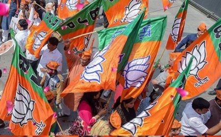 BJP कार्यकर्ताओं की खुलेगी लॉटरी, विधायकों के नामों की लिस्ट मांगी गई; CM चाहते हैं सभी नियुक्तियां पूरी हों