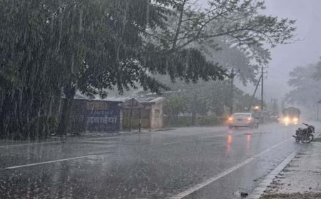 एमपी में दो सिस्टम की आंधी-बारिश, 28 जिलों में अलर्ट; ग्वालियर और जबलपुर भी भीगेंगे, 50Km/घंटा की रफ्तार