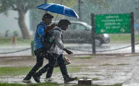 प्रदेश में दो सिस्टम एक्टिव, 13 जिलों में आंधी-बारिश का अलर्ट; जबलपुर और रीवा संभाग प्रभावित