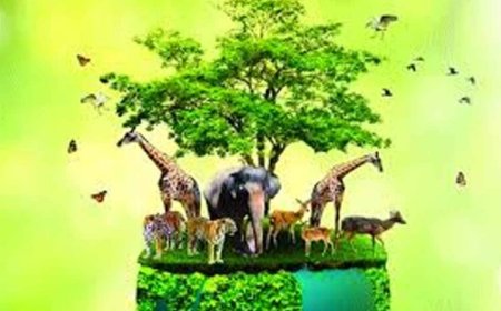 मध्य प्रदेश बना वन्यजीव संरक्षण का मॉडल, कूनो से वैश्विक पहचान