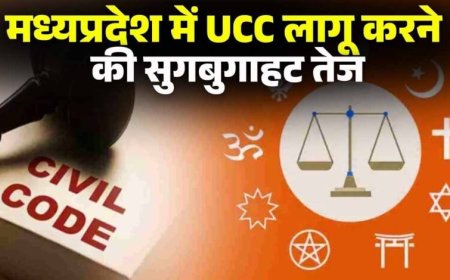 MP में UCC की पहल तेज, जिलों में जनसुनवाई और दिल्ली में समिति बैठक; आदिवासी प्रावधानों पर चर्चा