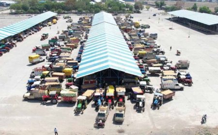 ओमान, यमन, यूएई, कतर, सउदी अरब में मध्यप्रदेश के गेहूँ की बढ़ी साख