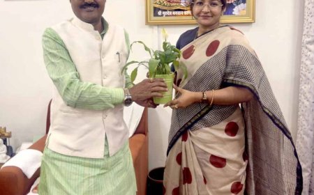 50 मेगावाट सौर ऊर्जा एवं ऊर्जा भंडारण परियोजना से सौर ऊर्जा के क्षेत्र में सतना को होगा सतत विकास
