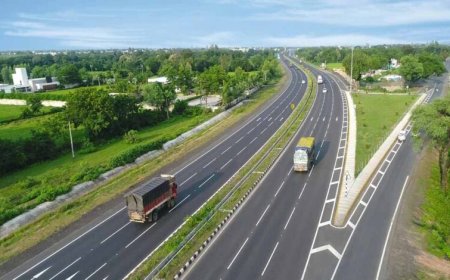 भोपाल को मिलेगा 35.611 किमी लंबा वेस्टर्न बायपास, लेकिन कटेंगे 3200 बड़े पेड़