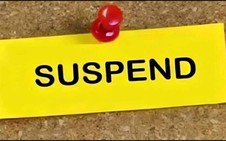 दो पंचायत सचिव निलंबित, CEO की बड़ी कार्रवाई से विभाग में हड़कंप