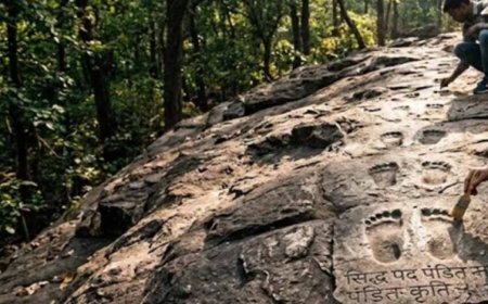 मध्यप्रदेश के जंगलों में 1000 साल पुराने पदचिन्ह, पुरातत्व विभाग की जांच जारी