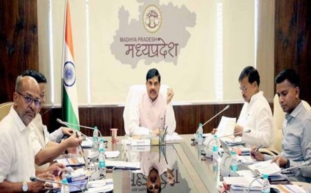 सौर ऊर्जा के उपयोग को अधिकाधिक प्रोत्साहित करें : मुख्यमंत्री डॉ. यादव