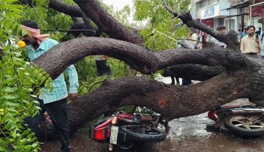 शिवपुरी में आंधी का कहर: प्ले ग्राउंड की बाउंड्री गिरी, 5 दबे, छत से गिरीं महिला व युवती