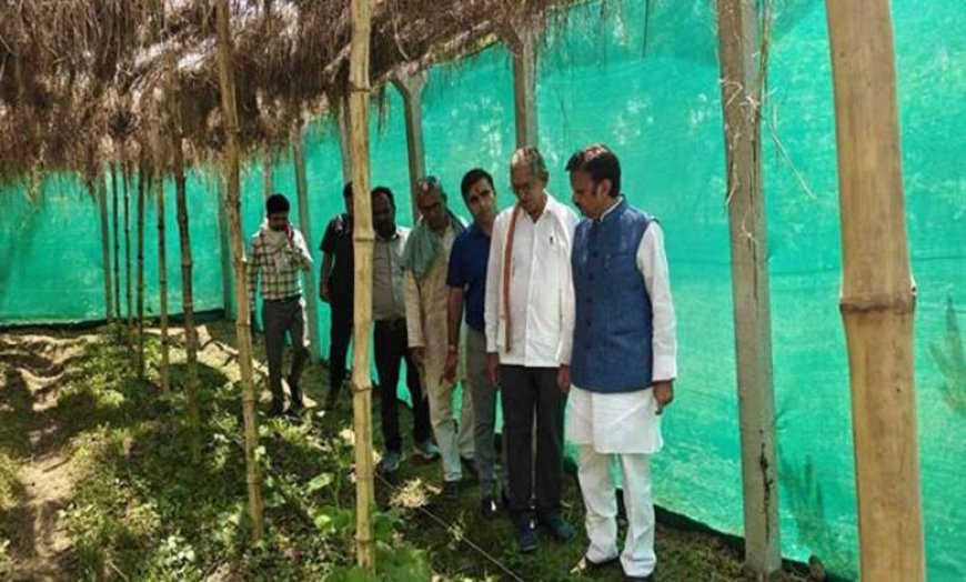 उप मुख्यमंत्री ने किया प्राकृतिक खेती का निरीक्षण