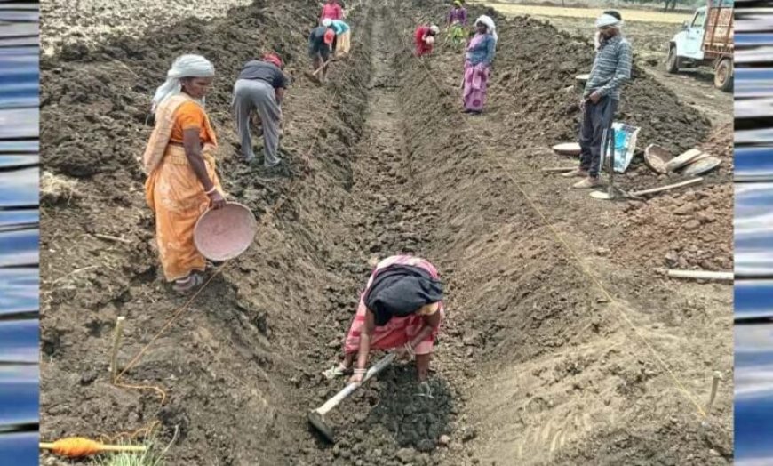 जल गंगा संवर्धन अभियान-पुष्पराजगढ़ में ‘जल गंगा संवर्धन अभियान’ से हो रहा है नहर सुदृढ़ीकरण