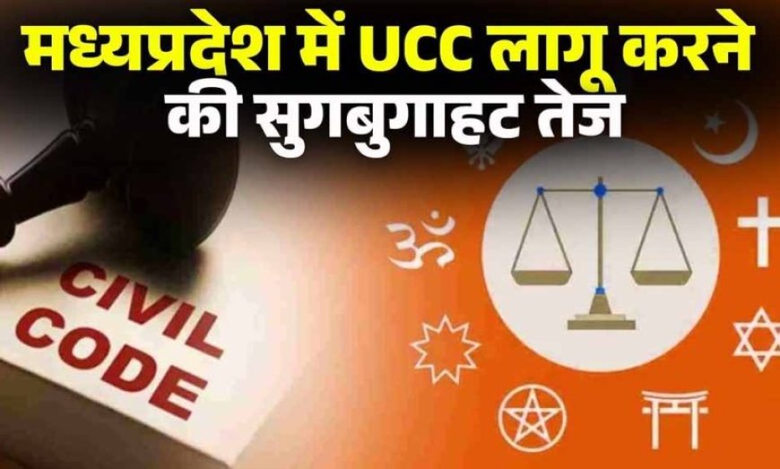 MP में UCC की पहल तेज, जिलों में जनसुनवाई और दिल्ली में समिति बैठक; आदिवासी प्रावधानों पर चर्चा